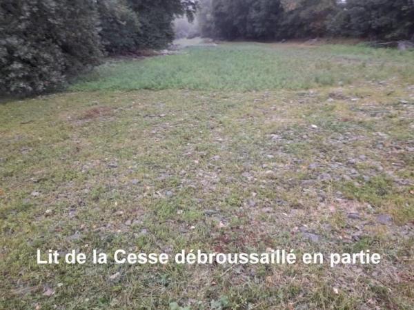 Debroussaille