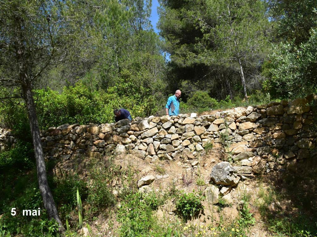 Mur 1